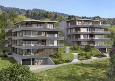 Wildenstein Neubau zwei MFH’s