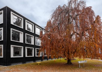 Neubau Büro- und Gewerbehaus