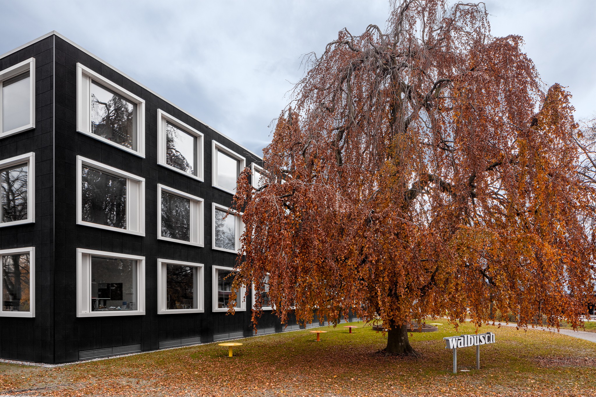 Neubau Büro- und Gewerbehaus